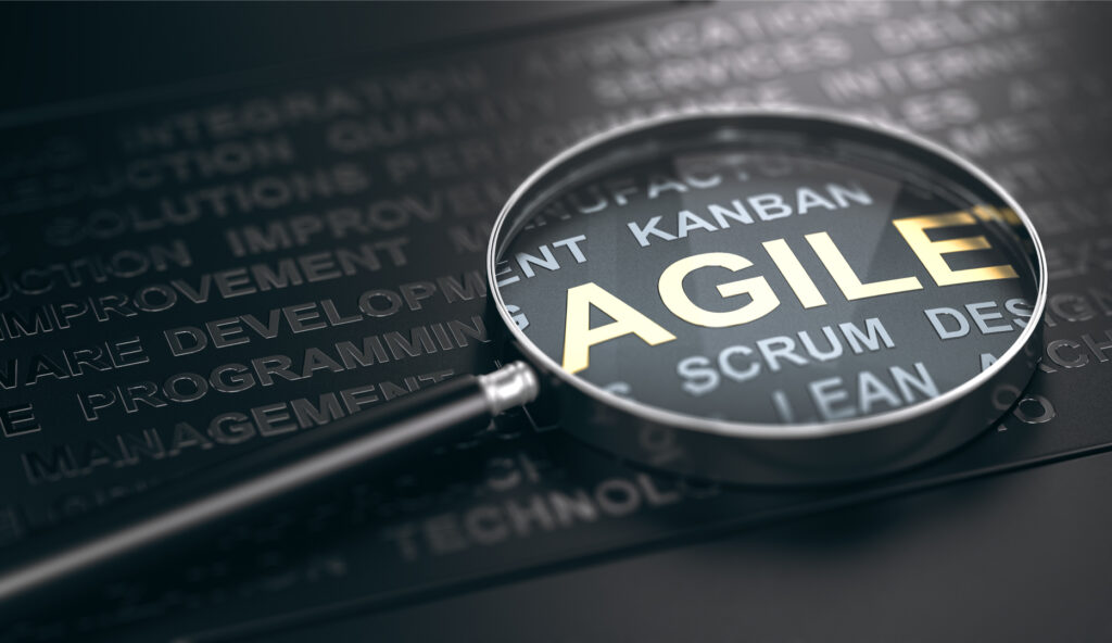 Agile Test Management Systems helps with a clean Testing Strategy