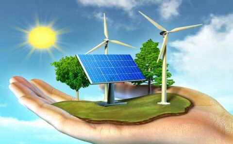 How to Set Up a Renewable Energy Business for Success