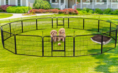 Pet Containment Fences: Creating a Safe Haven for Your Pets