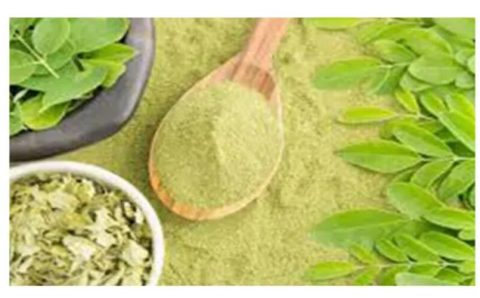 Diverse Methods to Incorporate Moringa Powder