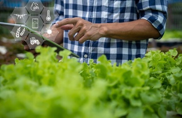 Blockchain in Agribusiness: Traceability and Transparency in the Supply Chain