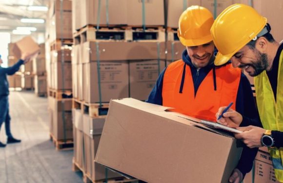 5 Essential Tips for Optimising Warehouse Efficiency with Industrial Shelving