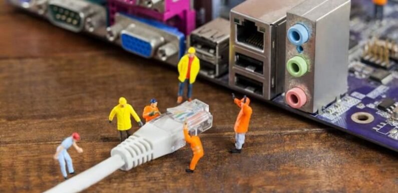 How To Differentiate Between Cat6 and Cat8?