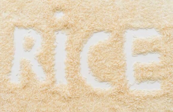 Rice Purity Test Score Meaning Chart: From 100 to 0