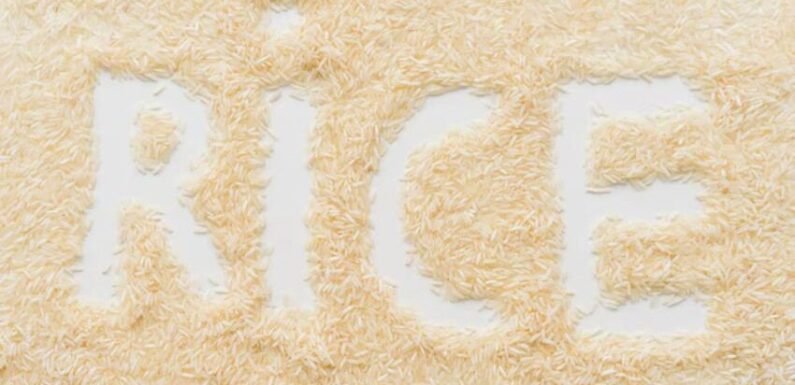 Rice Purity Test Score Meaning Chart: From 100 to 0