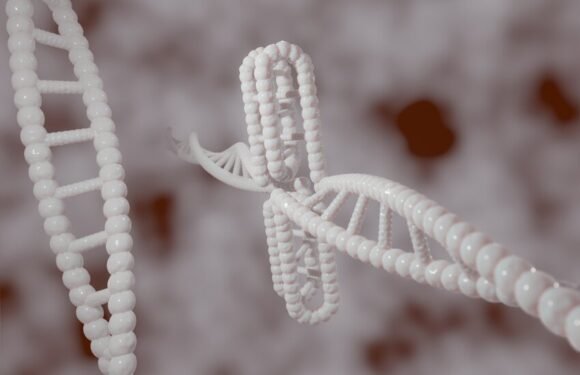 XXX Chromosome Diagnosis: What Happens Next?