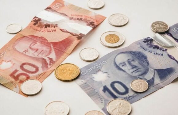 Net Worth Percentiles in Canada: Insights for Financial Planning