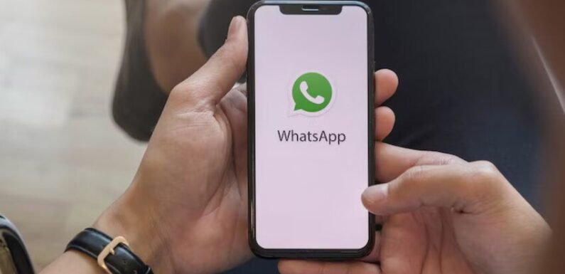 How to Install WhatsApp Plus Original Without Losing Your Chats