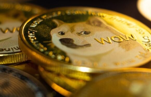 Dogecoin Pool: How to Start Mining DOGE Easily