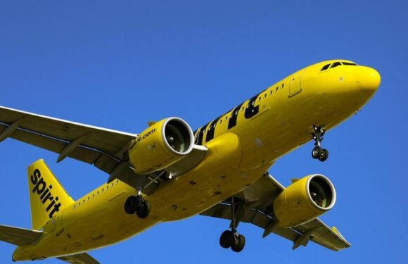 How to Get Spirit Airlines Student Discount in 2025
