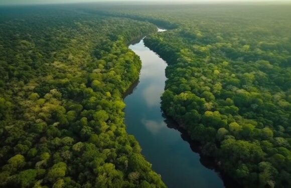 Amazon River Map: Explore the World’s Largest River System in Detail