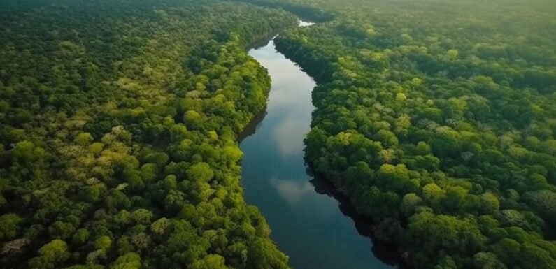 Amazon River Map: Explore the World’s Largest River System in Detail