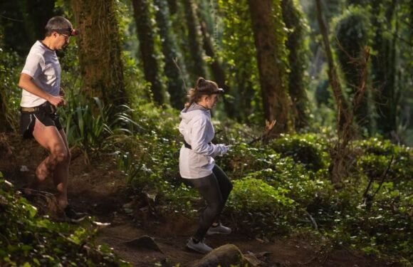 Exploring the Tropical Rainforest Climate Graph: Key Features and Trends