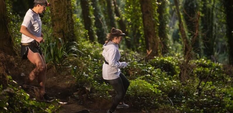 Exploring the Tropical Rainforest Climate Graph: Key Features and Trends