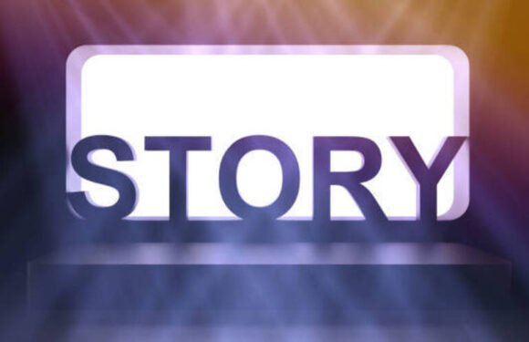 Best Free Anonymous Story Viewer Websites to Stay Invisible Online